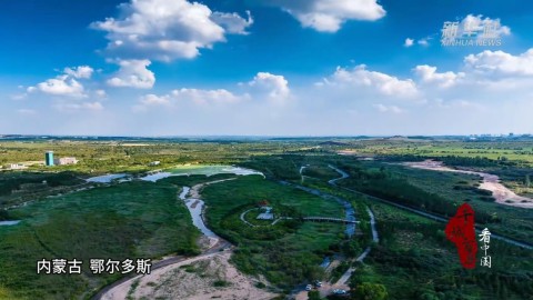 千城百县看中国丨内蒙古：花开时节 赏最美春色